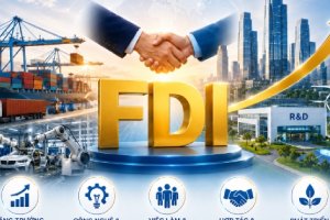IPO – Nghị Quyết 10: Lần Đầu Tiên FDI Và FII Chung Một Chiến Lược