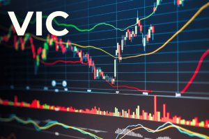 VIC – P/E 136 Lần, Cổ Phiếu Tăng Hơn 900%: Canh Bạc Tỷ Đô Vào Tương Lai.