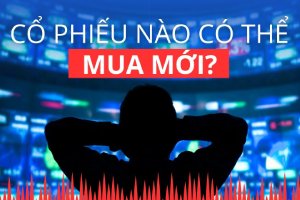 minhnguonhangland cocauvon20