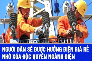 COPHIEU – Từ Độc Quyền Sang Cạnh Tranh, Cuộc Cải Tổ Lớn Của Ngành Điện