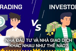 minhnguonhangland ipo19