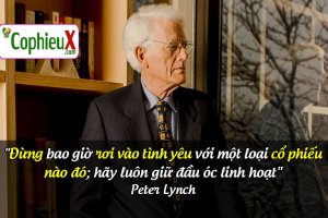 minhnguonhangland peterlynch2