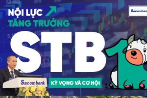 minhnguonhangland stb3