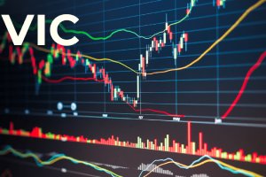 VIC - Toàn Cảnh Các Nhóm Đang Nắm Giữ Cổ Phiếu Vingroup Gần Đây Nhất